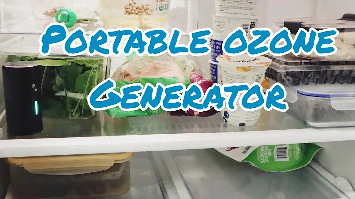 Portable Ozone Generator - Mini Air Cleaner