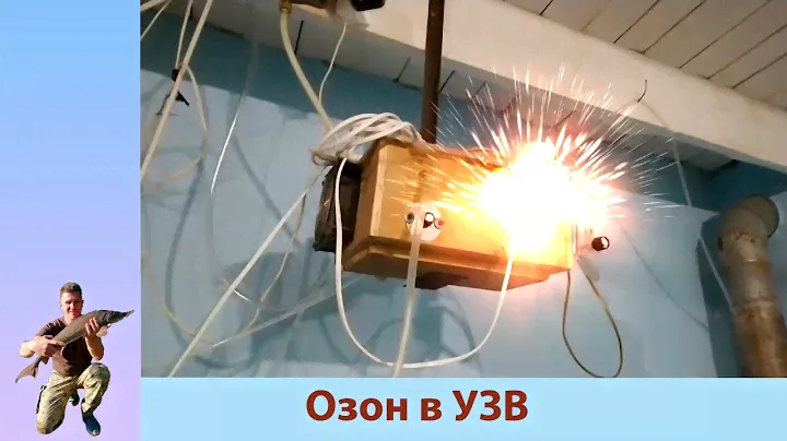 Озонатор для УЗВ ( ОЗОН ВЗРЫВАЕТСЯ, или нет)