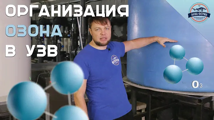 Организация Озона в УЗВ