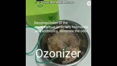 Multi-functional Portable mini portable ozone generator